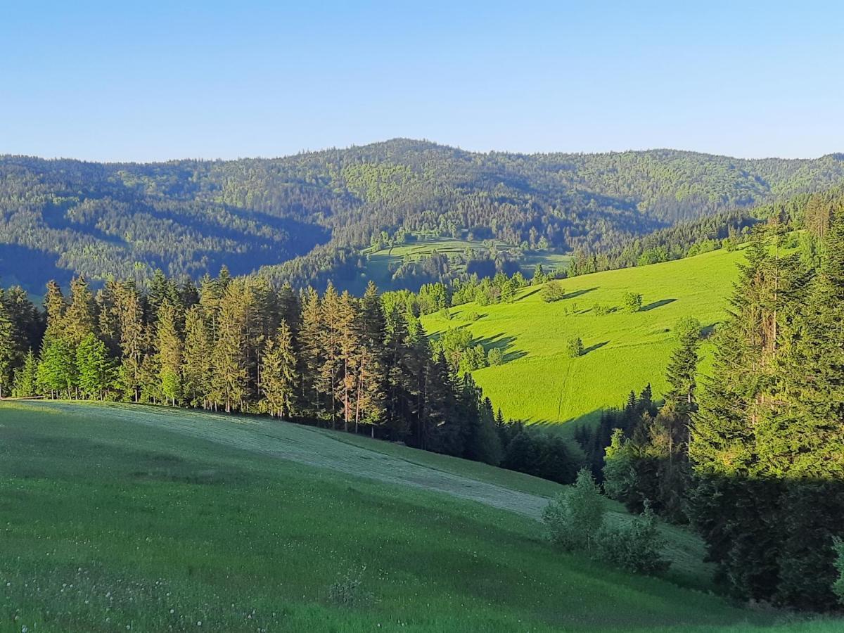 Domek Na Szlaku Rikardo Ponice Eksteriør bilde